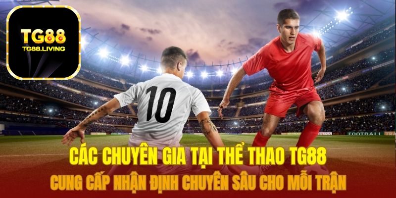 Các chuyên gia tại Thể thao TG88 cung cấp nhận định chuyên sâu cho mỗi trận