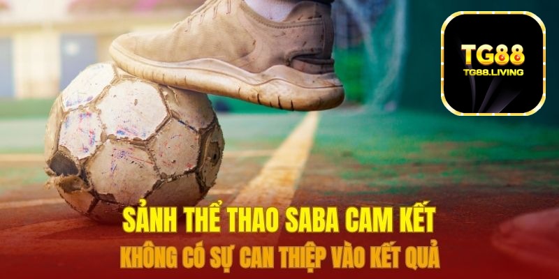Thể Thao Saba TG88 - Đặt Cược Thể Thao Online Xanh Chính 3 Sảnh thể thao Saba cam kết không có sự can thiệp vào kết quả